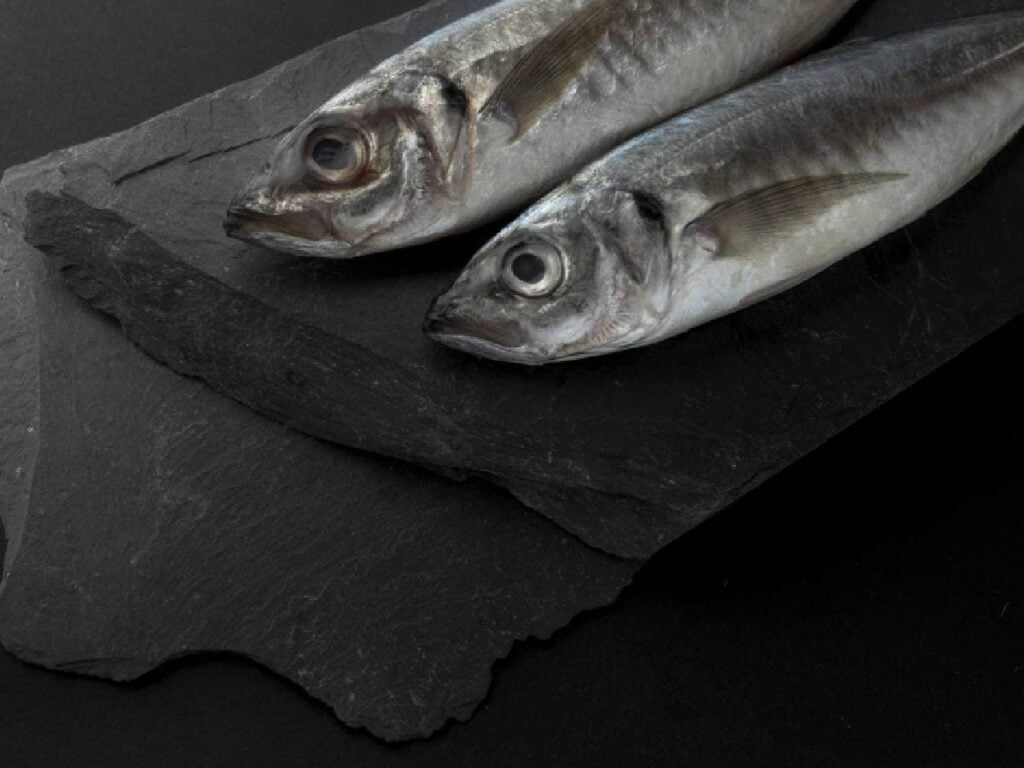 Sable Fish Taste